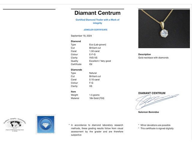 Gouden solitaire hanger met een diamant van 1.50 carat - afbeelding 3 van  6