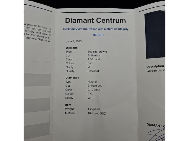 Gouden solitaire hanger met een diamant van 2.00 carat - afbeelding 5 van  6