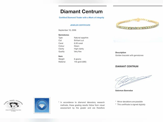 Gouden tennisarmband saffier - afbeelding 8 van  8
