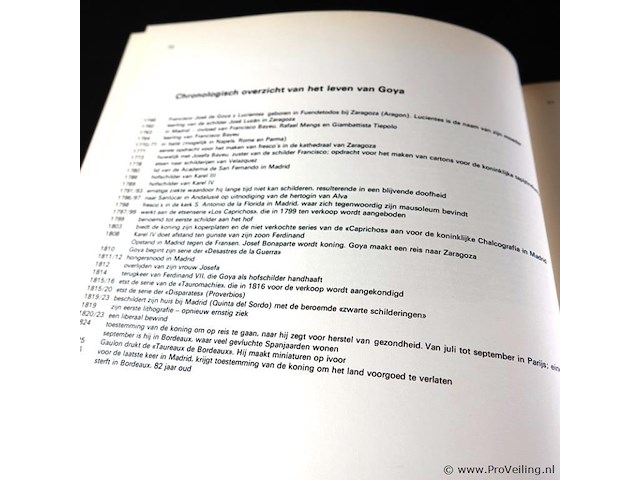 Goya - afbeelding 3 van  5
