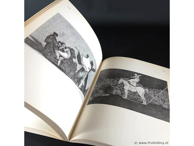 Goya - afbeelding 5 van  5