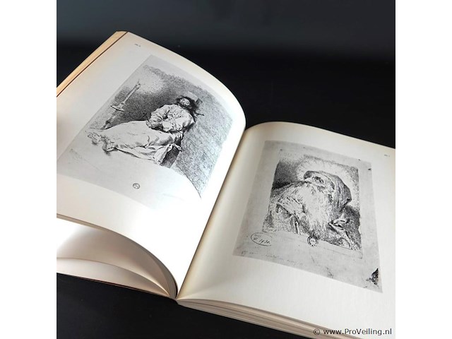 Goya - afbeelding 4 van  5