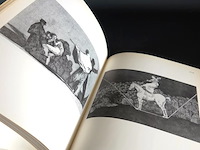 Goya - afbeelding 5 van  5