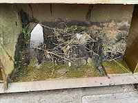 Graafbak, “cw30” - afbeelding 6 van  6