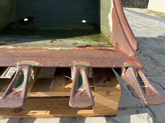 Graafbak graafbak - afbeelding 3 van  11