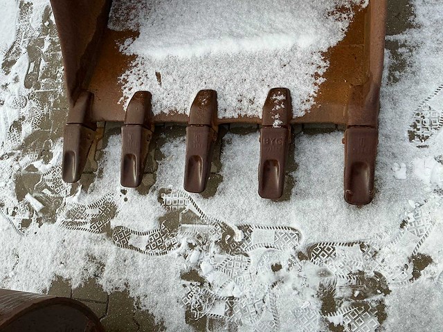 Graafbak - afbeelding 4 van  6