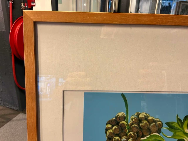 Grafiek “a van arendonk- fruit,flowers & animals” - afbeelding 3 van  8