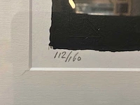 Grafiek “cor de jong- de voorspelling” - afbeelding 4 van  6
