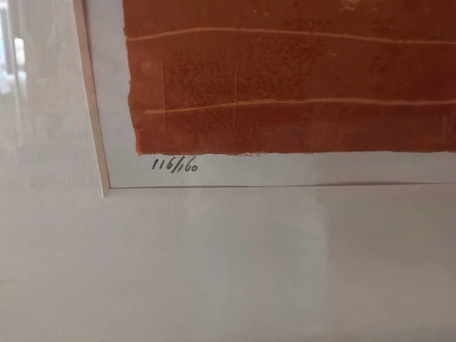 Grafiek “cor de jong- het voorteken” - afbeelding 4 van  7
