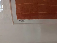 Grafiek “cor de jong- het voorteken” - afbeelding 4 van  7