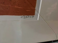 Grafiek “cor de jong- het voorteken” - afbeelding 6 van  7