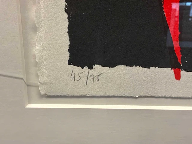 Grafiek “dora dolz” - afbeelding 6 van  8