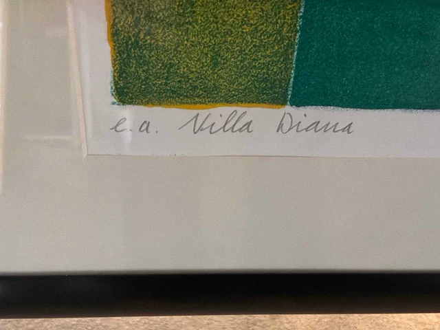 Grafiek “fenneke van der elst- villa diana” - afbeelding 4 van  6