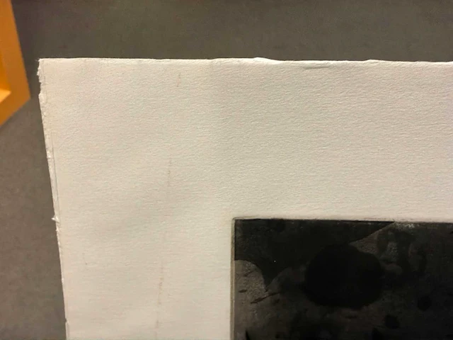 Grafiek “ger lataster- ekl 55 (bijl)” - afbeelding 3 van  5