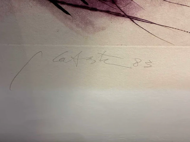 Grafiek “ ger lataster” - afbeelding 5 van  6