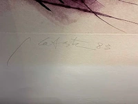 Grafiek “ ger lataster” - afbeelding 5 van  6