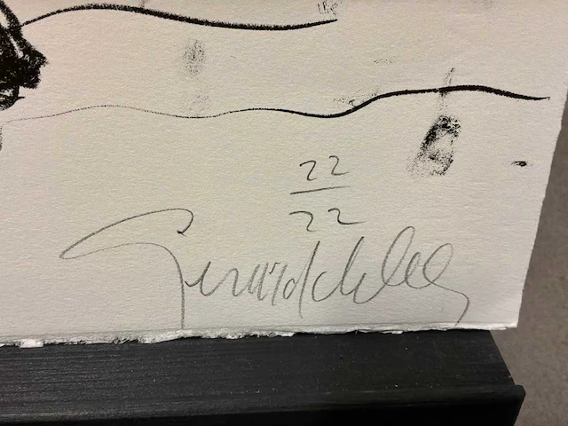 Grafiek “gerard dekker” - afbeelding 6 van  7