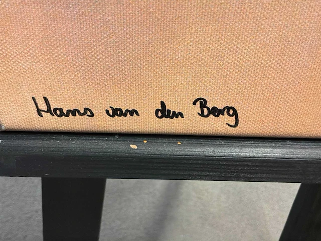 Grafiek “hans van den berg” - afbeelding 5 van  6