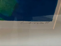 Grafiek “henk van vessem- rosegarden ii” - afbeelding 7 van  8
