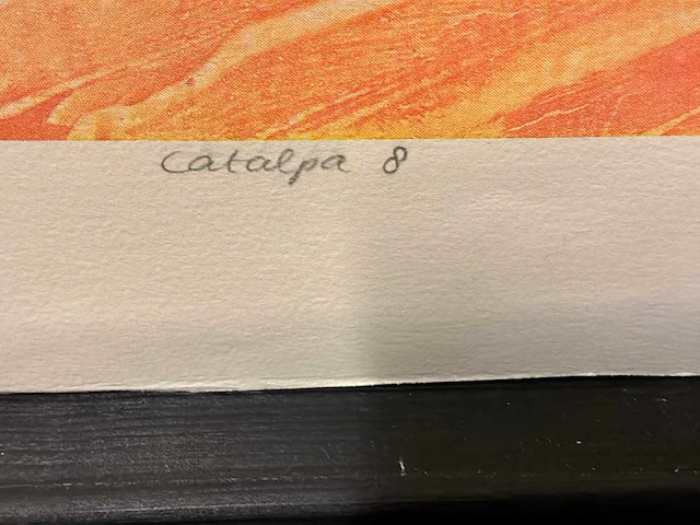 Grafiek “ivo kamphuis- catalpa iix” - afbeelding 5 van  8
