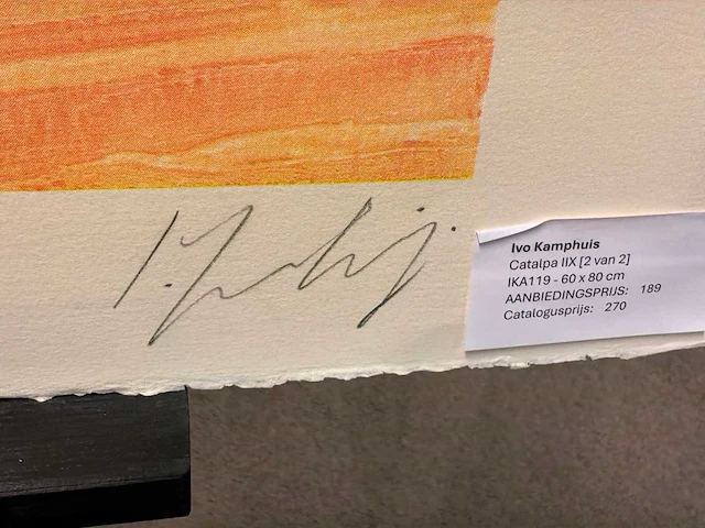Grafiek “ivo kamphuis- catalpa iix” - afbeelding 7 van  8