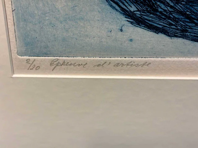 Grafiek “jan sierhuis- het is groen…….” - afbeelding 4 van  6