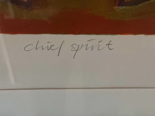 Grafiek “jan van delft- chief spirit” - afbeelding 5 van  7