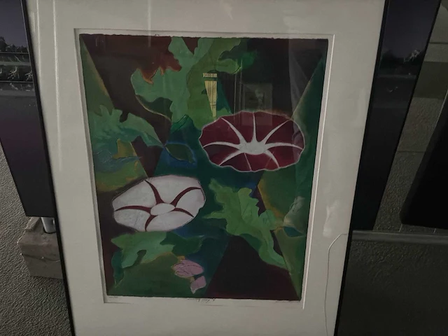 Grafiek “ jan van delft- morning glory ii” - afbeelding 2 van  8