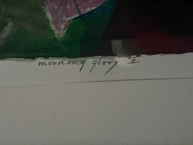 Grafiek “ jan van delft- morning glory ii” - afbeelding 4 van  8