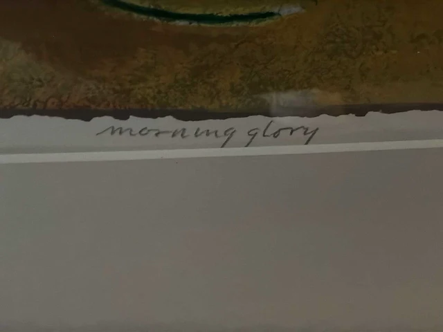 Grafiek “jan van delft- morning glory ii” - afbeelding 4 van  6