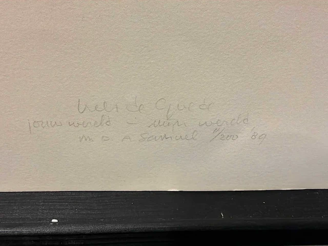 Grafiek “kees de goede- jou wereld, mijn wereld 1-2” - afbeelding 5 van  6