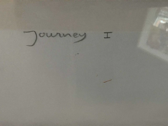 Grafiek “ron van de werf- journey i” - afbeelding 6 van  8