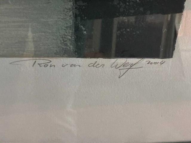 Grafiek “ron van de werf- terra i” - afbeelding 6 van  7