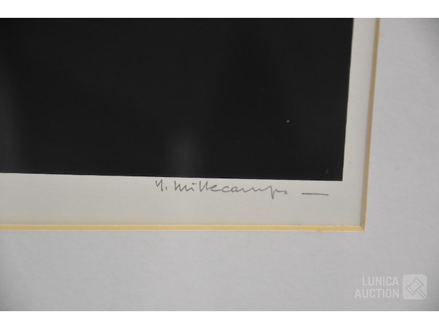 Grafiek - afbeelding 3 van  6