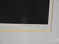 Grafiek - afbeelding 3 van  6