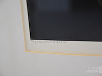 Grafiek - afbeelding 4 van  6