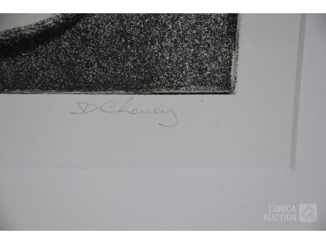 Grafiek - afbeelding 3 van  5