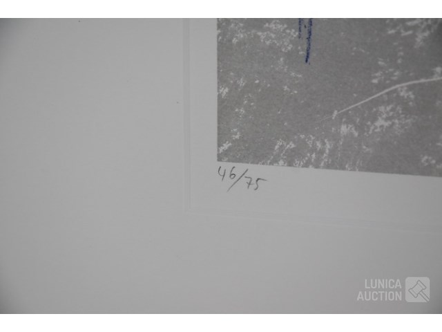 Grafiek - afbeelding 5 van  6