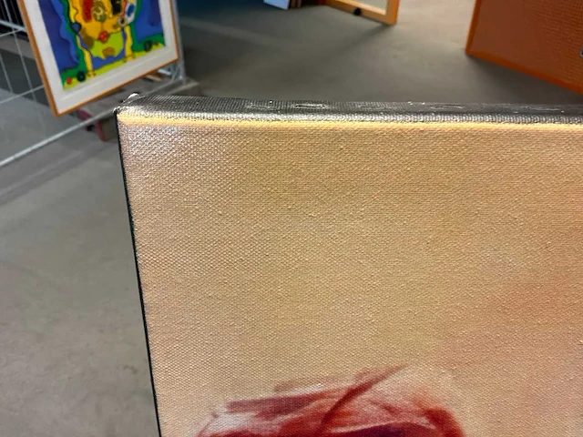 Grafiek“hans van den berg” - afbeelding 5 van  7