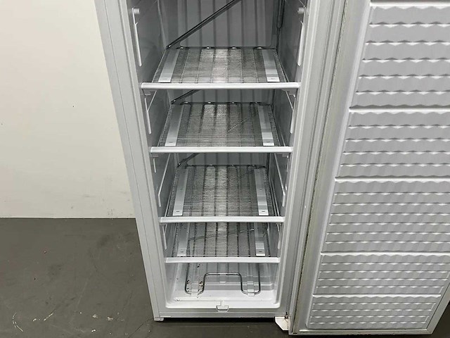 Gram - fs320-00 - vrieskast - afbeelding 2 van  2