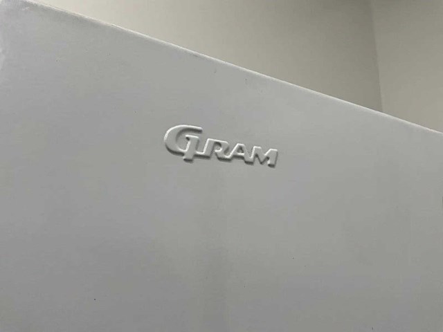 Gram - fs320-00 - vrieskast - afbeelding 2 van  4