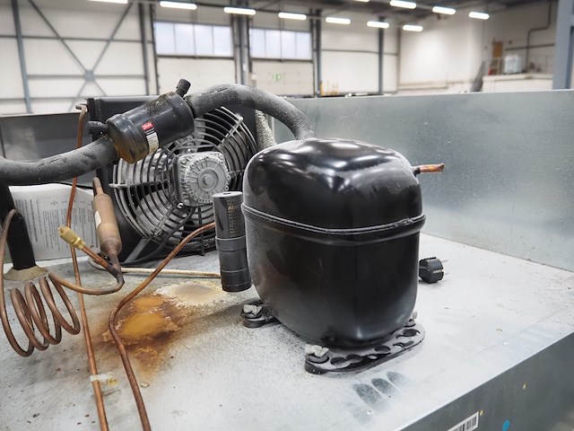 Gram - afbeelding 3 van  13