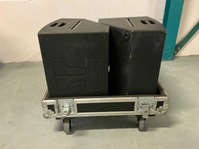 Granit vs12 luidspreker (2x) - afbeelding 8 van  10