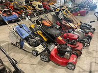 Grasmaaier (10x) - afbeelding 2 van  3