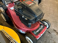 Grasmaaier (3x) - afbeelding 10 van  10