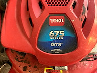 Grasmaaier (3x) - afbeelding 10 van  10