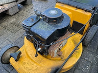 Grasmaaier (3x) - afbeelding 7 van  7