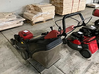 Grasmaaier - afbeelding 3 van  5