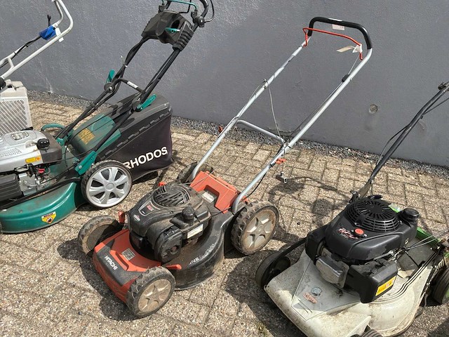 Grasmaaiers (5x) - afbeelding 9 van  14