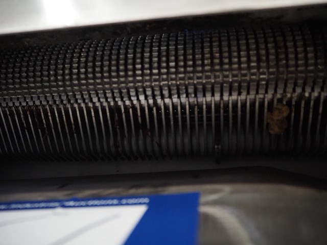 Grasselli - afbeelding 7 van  9